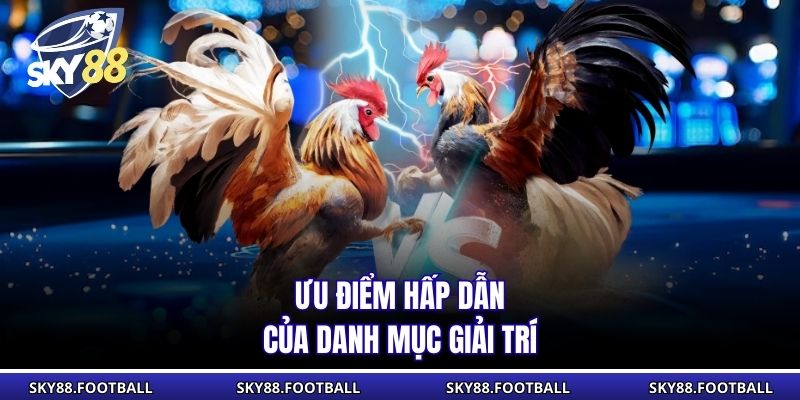 Ưu điểm hấp dẫn của danh mục giải trí